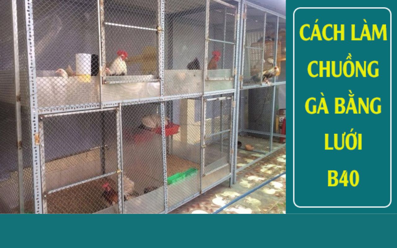 kinh-nghiem-xay-chuong-cho-ga-da.jpg kinh-nghiem-xay-chuong-cho-ga-da.jpg