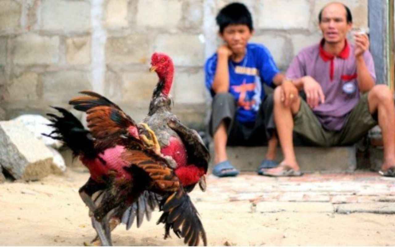 luyen-tap-de-kich-thich-ban-nang-mau-chien_5_11zon.jpg luyen-tap-de-kich-thich-ban-nang-mau-chien_5_11zon.jpg