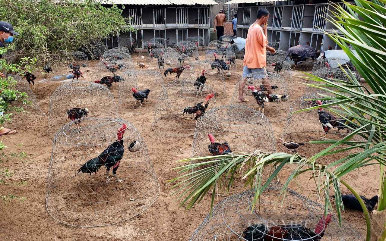 moi-truong-nuoi-duong-tam-ly_6_11zon.jpg moi-truong-nuoi-duong-tam-ly_6_11zon.jpg