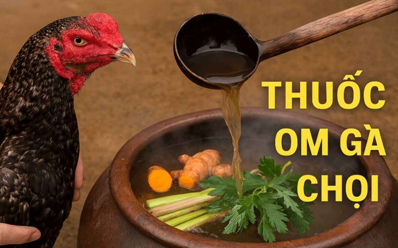 om-bop-ga-choi-dung-ky-thuat.jpg