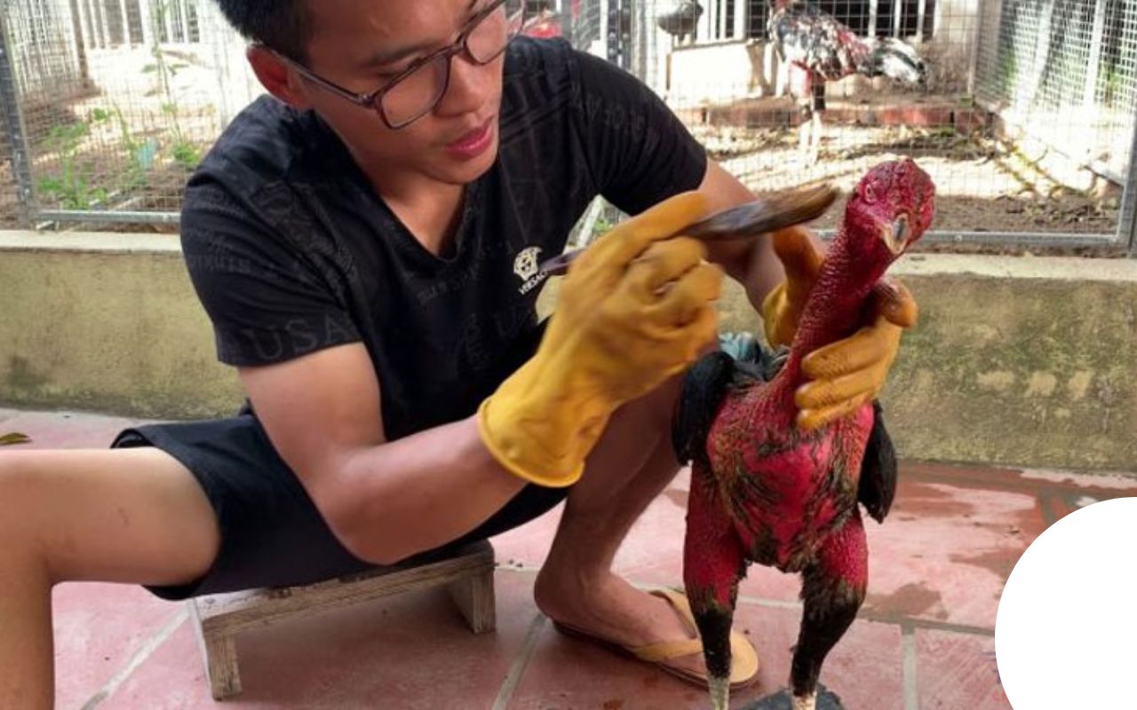 vao-nghe-de-lam-gi.jpg